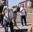 По поручению Главы Чеченской Республики, Героя России Рамзана Ахматовича Кадырова, в городском округе г. Аргун ежедневно проводятся субботники. - Мэрия города