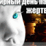 Профилактика дорожно-транспортных происшествий с участием детей и подростков - Мэрия города